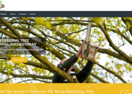 Rochester website design